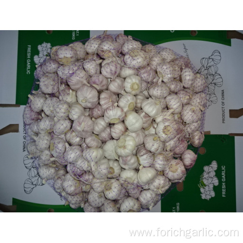 Normal Fresh White Garlic Crop 2019